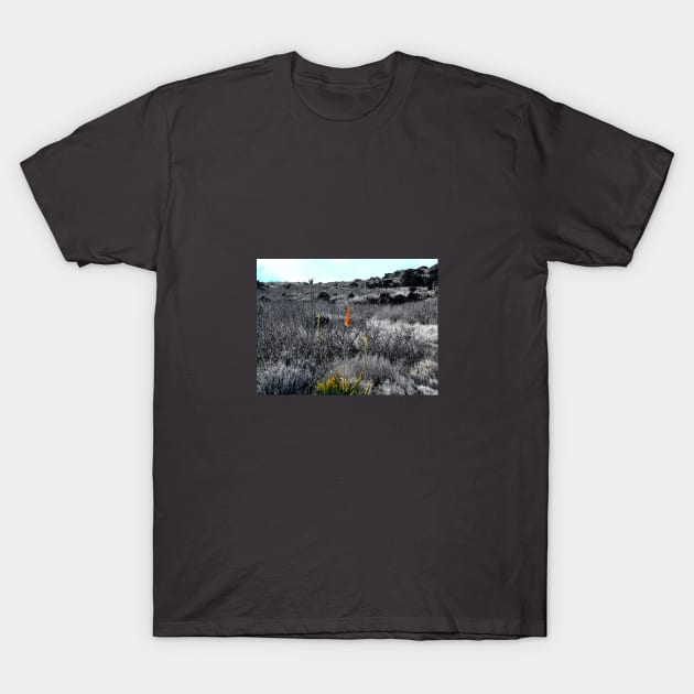 Persistence - Makapu'u Lighthouse Trail T-Shirt by NadJac